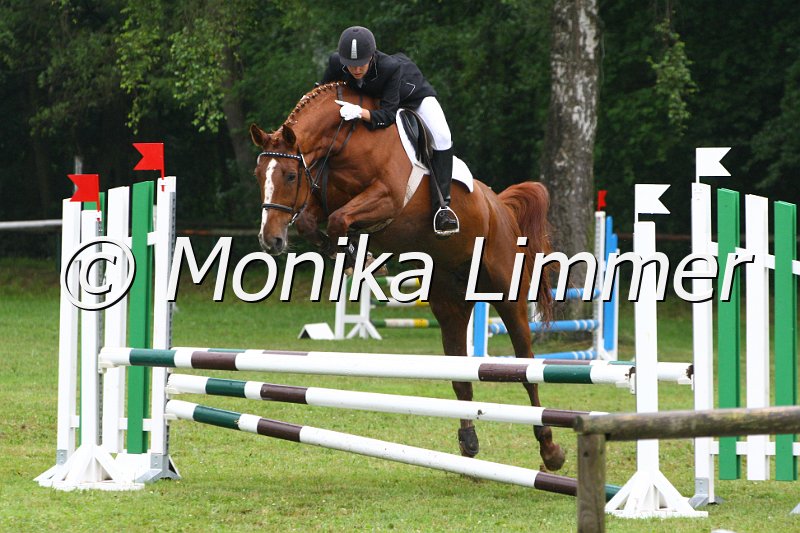 007L7607_Spring WB_E.JPG